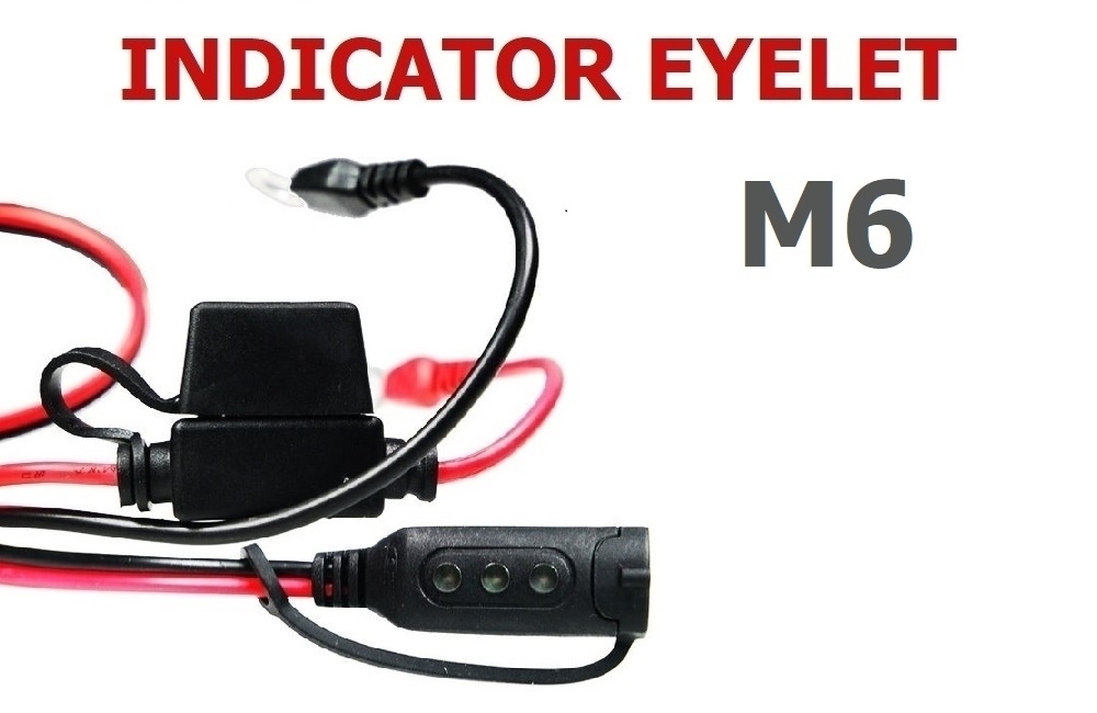 CTEK Ladezustandsanzeige / Comfort Indicator mit Ringkabelschuhen M6